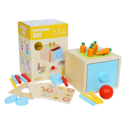 Montessori box 4 in 1