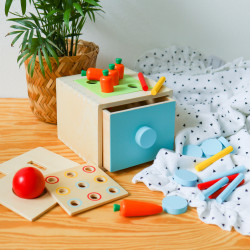 Montessori box 4 in 1